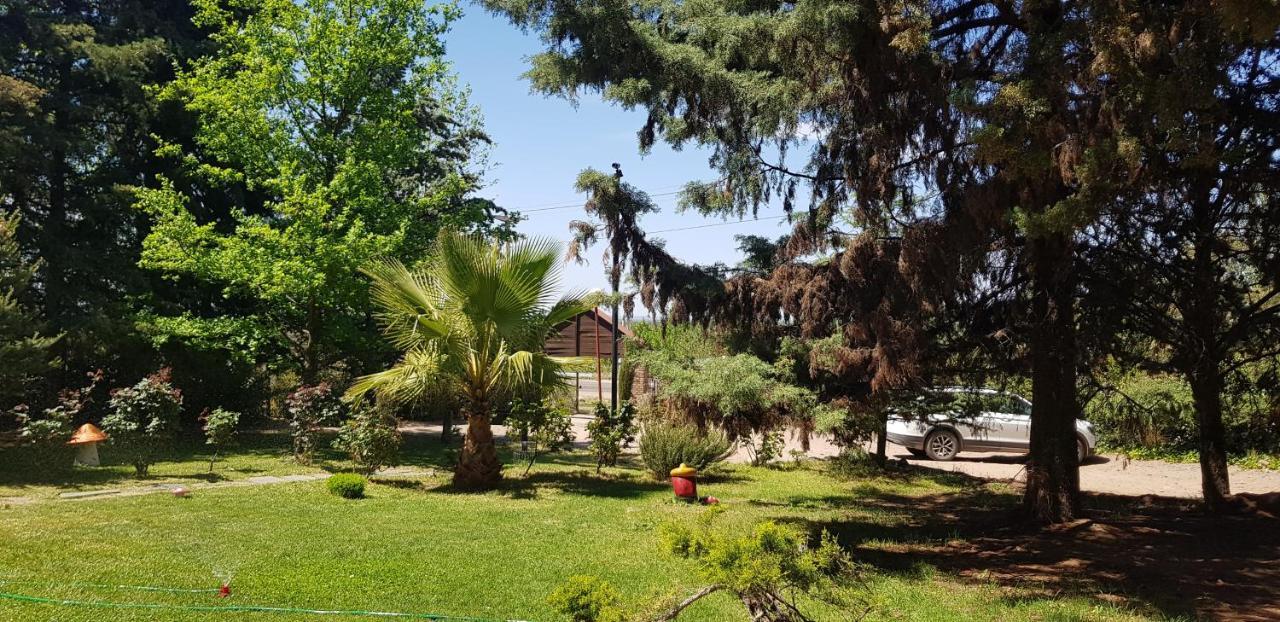 Cabanas Swissminiatur Cacheuta Dış mekan fotoğraf